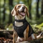 Joytale Reflective Dog Collar, Adjustable Neoprene Padded, Black L - Image 2