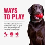 KONG Ring, Natural Rubber Chew Toy for Dental Health, for Medium/Large Dogs - Image 4
