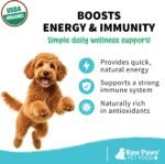 Raw Paws Virgin Organic Coconut Oil for Dogs & Cats (4-oz) - Skin & Coat - Image 3
