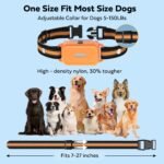 Shock Collar for 2 Dogs with Light Waterproof 2 Pack Remote Training Collar - Image 4