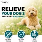 Dog Allergy Relief Chews - 240 Immune Treats, Dog Itching Skin Relief Pills - Image 5