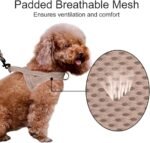 Plutus Pet No Pull Dog Harness with Front Clip, Breathable Mesh Padded - Image 3