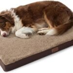 Bedsure Washable Dog Beds Large Sized Dog with Comfy Sherpa, 36x27in Brown