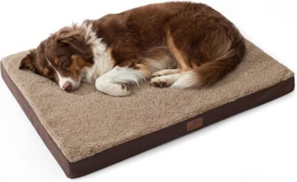 Bedsure Washable Dog Beds Large Sized Dog with Comfy Sherpa, 36x27in Brown