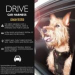 EzyDog Drive Dog Car Harness, Crash Tested and Certified - Medium - Image 3