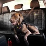 EzyDog Drive Dog Car Harness, Crash Tested and Certified - Medium - Image 4