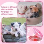 36 Pcs Puppy Collar and Leash Set Adjustable Dog Collars and Leash - Image 4