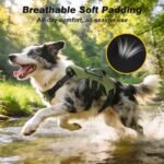 WINGOIN Escape Proof Dog Harness,No Pull for Large Dogs with Handle,Green,L - Image 5