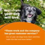 Zesty Paws Senior Dog Vitamins + Glucosamine for Dogs, Chicken 90ct - Image 7