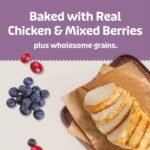 Blue Buffalo Health Bars Chicken & Mixed Berries Soft & Chewy Treats, 9 oz - Image 3