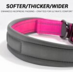 Personalized Reflective Dog Collar with Name & Phone Number - Image 4