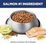 Hill's Science Diet Puppy Sensitive Stomach & Skin Dry Dog Food - Image 4