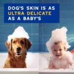 DOUXO SPA Oatmeal Dog Conditioner, 16 fl oz - Image 4
