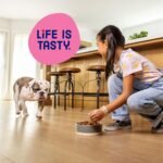 Kibbles 'n Bits Mini Bits Small Breed Dry Dog Food, 3.5 lb. Bag - Image 6