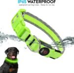LED Dog Collar, Light Up Dog Collar,for Night Walking(Large,Green) - Image 3