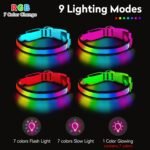 LED Dog Collar, Light Up Dog Collar,for Night Walking(Large,Green) - Image 4