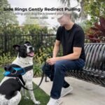 ShawnCo Essential Dog Harness, No-Pull Pet Vest (Orchid,L) - Image 3