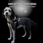 ShawnCo Essential Dog Harness, No-Pull Pet Vest (Orchid,L) - Image 5