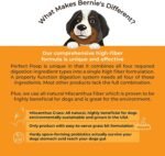 Bernie's Perfect Poop 4-in-1 Dog Digestion Supplement, Cheese, 4.2 oz - Image 7