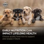 Diamond Puppy High Protein Dry Dog Food, Chicken Protein, 40lb - Image 3