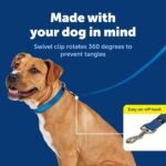 PetSafe Nylon Dog Leash - Strong, Durable, Traditional Style Leash with Easy to Use Bolt Snap - 3/8 in. x 6 ft., Royal Blue - Image 3