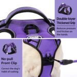 IVY&LANE No Pull Dog Harness for Small Dogs,Reflective Dog Vest Harness - Image 4