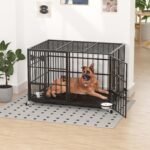 Dosker 42" Heavy Duty Metal Dog Crate,Indoor Kennel for 2 Dogs with Divider - Image 4