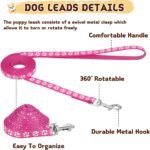 12 PCS Dog Collar and Leash Set for Small Dogs Puppy Kitten - Image 4