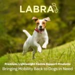 Labra Dog Rear Leg Hock Joint Compression Wrap - Supportive Brace for Weak Back Legs, ACL Tear, and Joint Discomfort - Adjustable Hind Leg Support for Senior Dogs - Large - Image 5