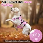 WINSEE Escape Proof Dog Harness with Double Handle+4 Removable Patches - Image 7