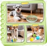KIPRITII Dog Puzzle Feeder Set with Slow Feeder Bowl & Treat Ball - Image 6
