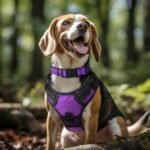 Joytale Reflective Dog Collar, Adjustable Neoprene Padded, Purple L - Image 2