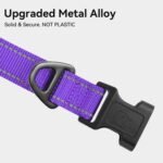 Joytale Reflective Dog Collar, Adjustable Neoprene Padded, Purple L - Image 3