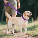 Joytale Reflective Dog Collar, Adjustable Neoprene Padded, Purple L - Image 6