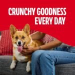 Milk-Bone Peanut Butter Flavor Biscuits, Small Dog Treats, 7 Lb. - Image 6