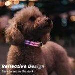 Reflective Dog Collar for Small Dogs, Neon Leopard Pet Collar, S - Image 3