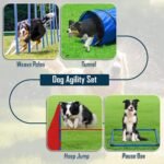 Dog Agility Training Equipment, Portable Dog Agility Course Backyard Set - Image 2