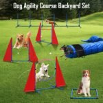 Dog Agility Training Equipment, Portable Dog Agility Course Backyard Set - Image 3