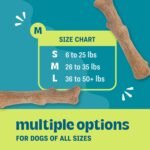 Pupstages Dogwood Stick Dog Chew Toy, Made in USA, Medium, 7.4" - Image 3