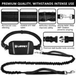 Hands Free Dog Leash, Waist Running Leash with Zipper, Walking Pouch for Medium Large Dogs, Dual Handle and Retractable Bungee for Training Jogging Hiking - Image 3