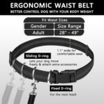 Hands Free Dog Leash, Waist Running Leash with Zipper, Walking Pouch for Medium Large Dogs, Dual Handle and Retractable Bungee for Training Jogging Hiking - Image 4
