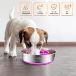 2-in-1 Metal Dog Bowl with Slow Feeder Insert, Stainless Steel Dog Bowls Food Grade 304, Water Food Bowl with Anti-Slip Silicone Base for Small & Medium Dogs(Purple, 3 Cups) - Image 3