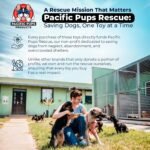 Pacific Pups Products Dog Rope Toys for Medium Dogs, 11 Pack - Image 5