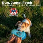 Pacific Pups Products Dog Rope Toys for Medium Dogs, 11 Pack - Image 6