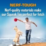 Nerf Dog Classic Squeak Ball Outdoor Dog Toy, 3.8 Inch Dog Ball Fetch Toy, Squeaking Toy for Medium and Large Breeds, Green/Red, 2 Count - Image 5