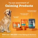 Zesty Paws Calming Chews for Dogs - Dog Calming Supplement - Turkey 90ct - Image 7