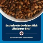 Blue Buffalo Freedom Chicken Adult Grain-Free Dry Dog Food, 4 lb - Image 6