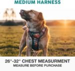 Embark No Pull Dog Harness, Reflective Adjustable Training Vest, No Choke - Image 3