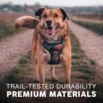 Embark No Pull Dog Harness, Reflective Adjustable Training Vest, No Choke - Image 6