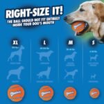 Chuckit! Dog Tennis Ball Toy, Medium 2.5in, 4 Pack, for 20-60lbs Dogs - Image 6
